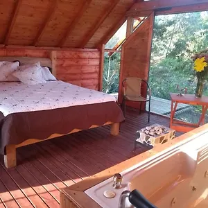 Camping Arrayanes, Rionegro