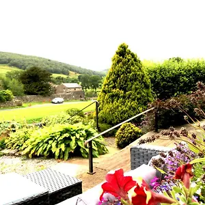 Bed & Breakfast Romany 