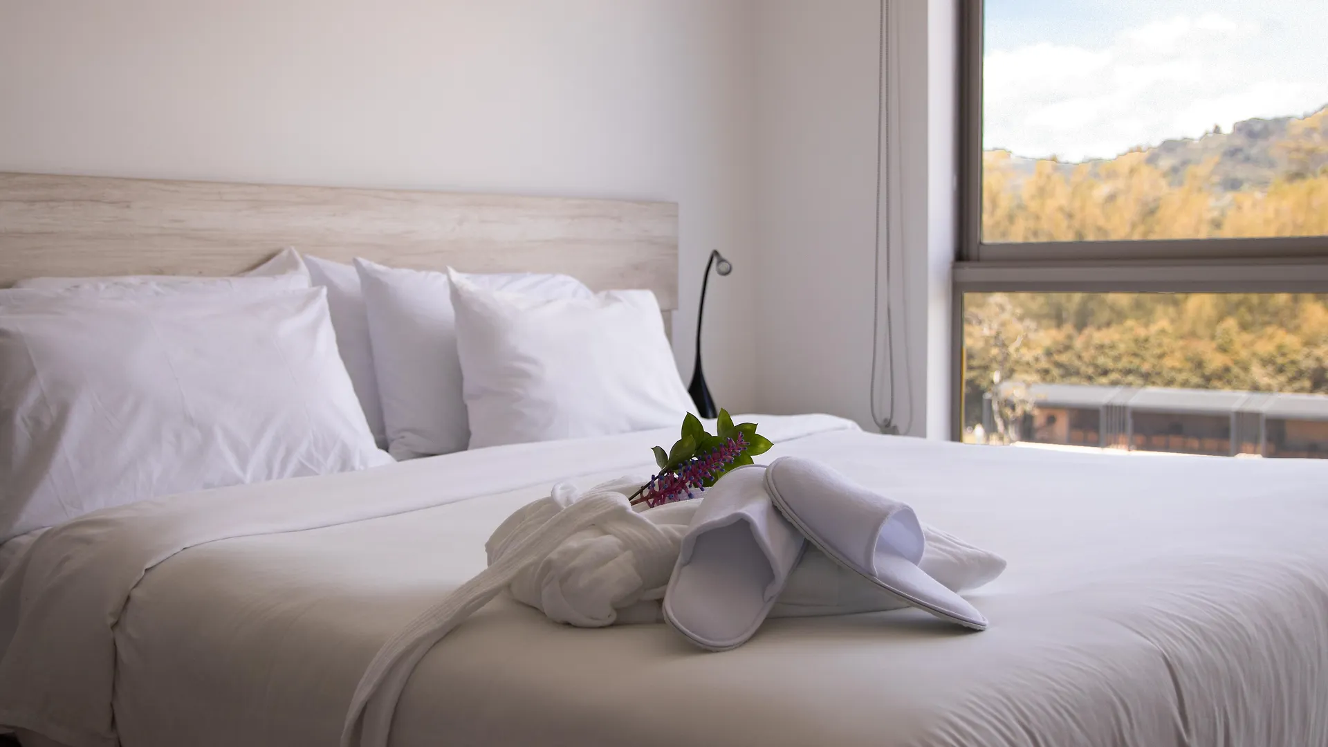 Mg Hotels & Suites Rionegro